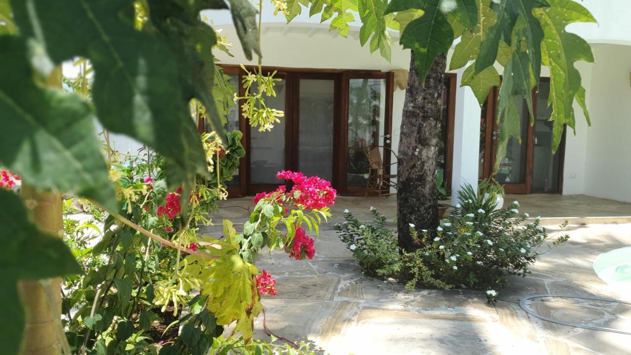 Moyo Apartment Pwani Mchangani Eksteriør bilde