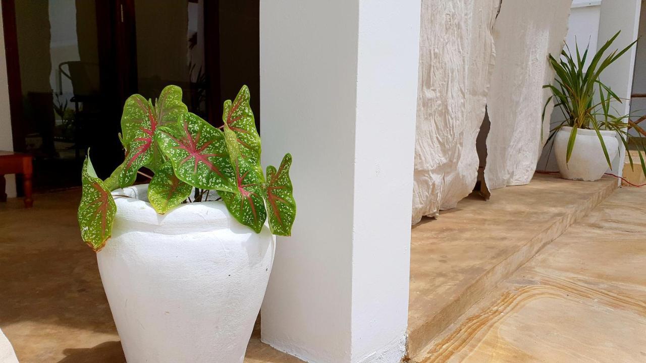 Moyo Apartment Pwani Mchangani Eksteriør bilde